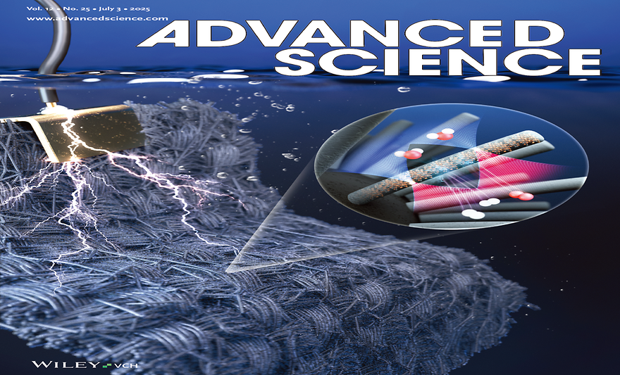 유영동 교수팀, 차세대 에너지 변환·저장용 핵심 촉매 구조 개발